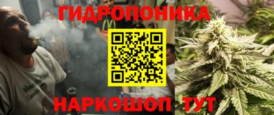 молекула духа Рузаевка