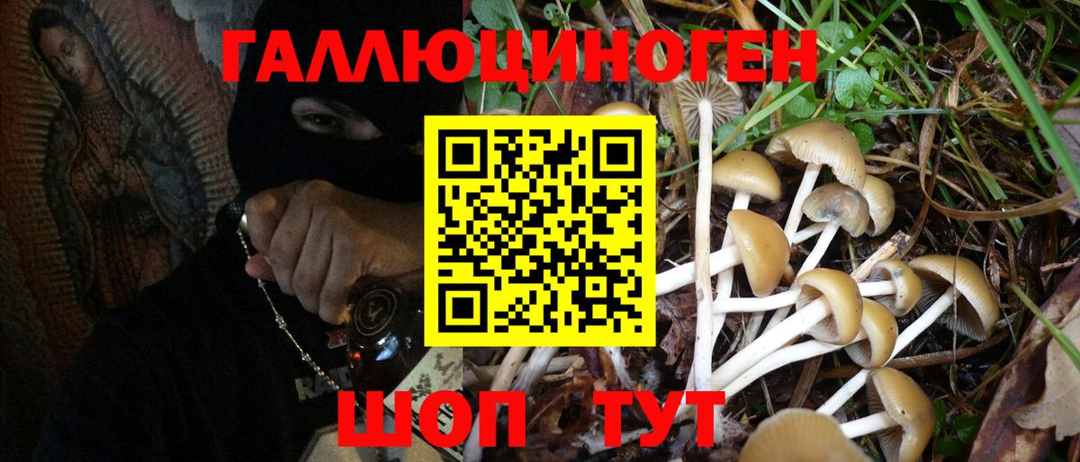 Галлюциногенные грибы мухоморы Сегежа